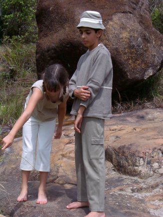 ../Images/Pdrm3791.jpg
