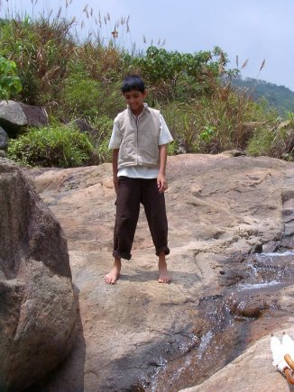 ../Images/Pdrm3830.jpg